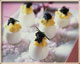 Caviar Eggs