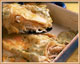 Chicken Enchildas with Cheese
