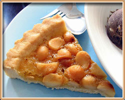 Macadamia Pie