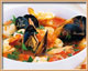 Seafood Bouillabaisse