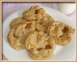 Sugarless Apple Cookies